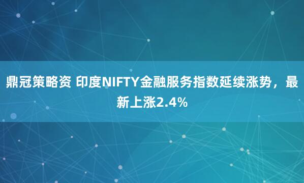 鼎冠策略资 印度NIFTY金融服务指数延续涨势，最新上涨2.4%