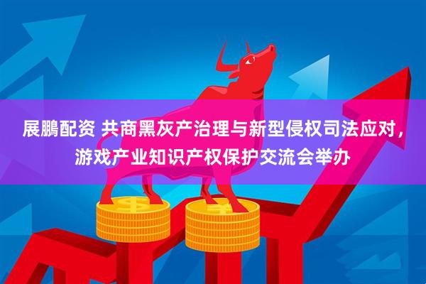 展鵬配资 共商黑灰产治理与新型侵权司法应对，游戏产业知识产权保护交流会举办