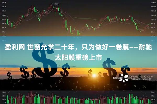 盈利网 世窗光学二十年，只为做好一卷膜——耐驰太阳膜重磅上市