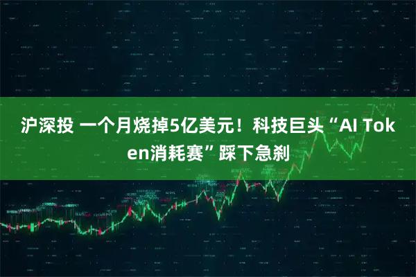 沪深投 一个月烧掉5亿美元！科技巨头“AI Token消耗赛”踩下急刹