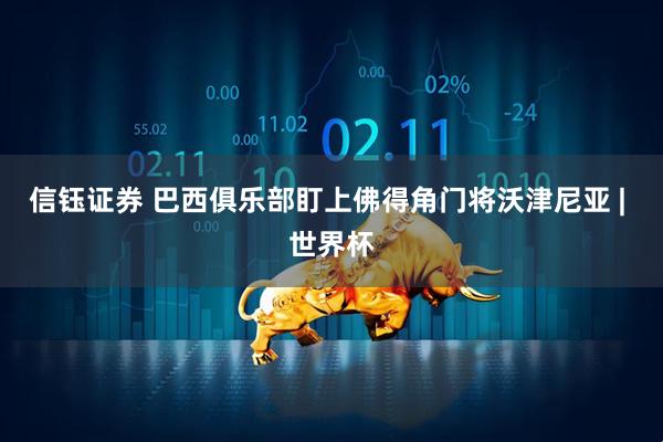 信钰证券 巴西俱乐部盯上佛得角门将沃津尼亚 | 世界杯
