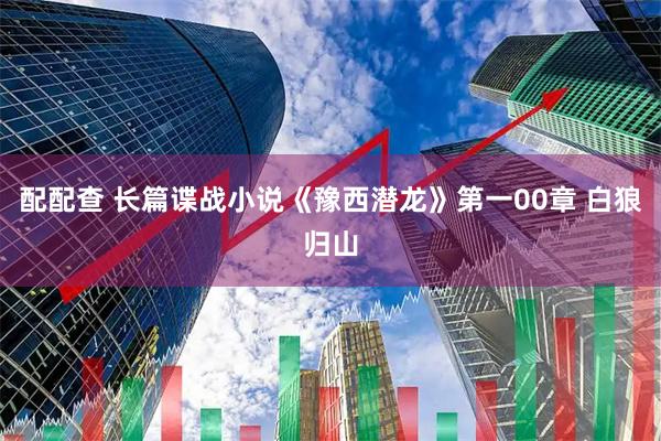 配配查 长篇谍战小说《豫西潜龙》第一00章 白狼归山