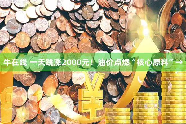 牛在线 一天跳涨2000元！油价点燃“核心原料”→