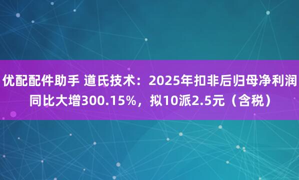 优配配件助手 道氏技术：2025年扣非后归母净利润同比大增300.15%，拟10派2.5元（含税）