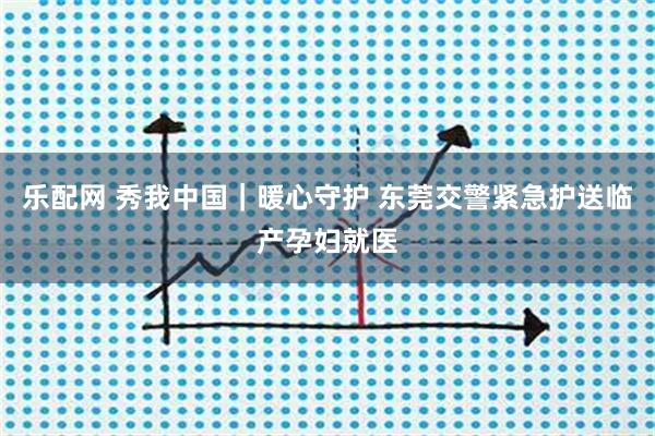 乐配网 秀我中国｜暖心守护 东莞交警紧急护送临产孕妇就医