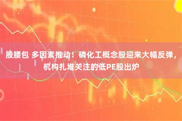 股腰包 多因素推动！磷化工概念股迎来大幅反弹，机构扎堆关注的低PE股出炉