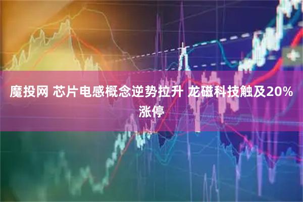 魔投网 芯片电感概念逆势拉升 龙磁科技触及20%涨停