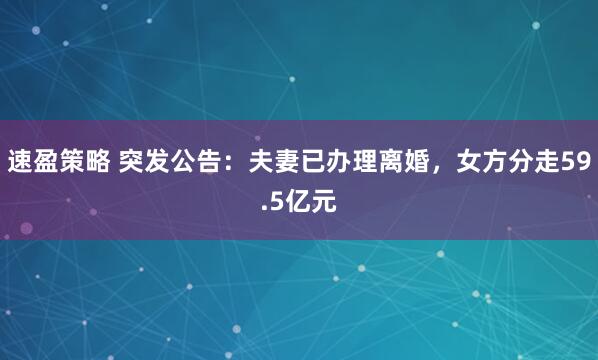 速盈策略 突发公告：夫妻已办理离婚，女方分走59.5亿元