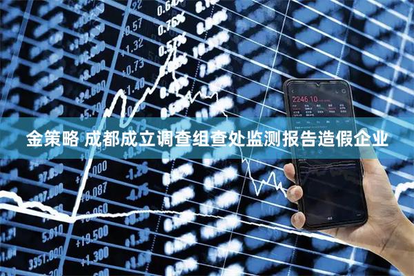 金策略 成都成立调查组查处监测报告造假企业